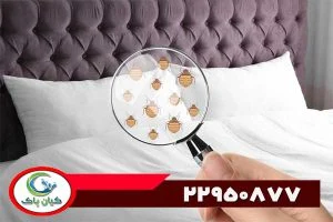 روش های قطعی و موثر شرکت سمپاشی برای ساس : از سموم تا راهکارهای طبیعی