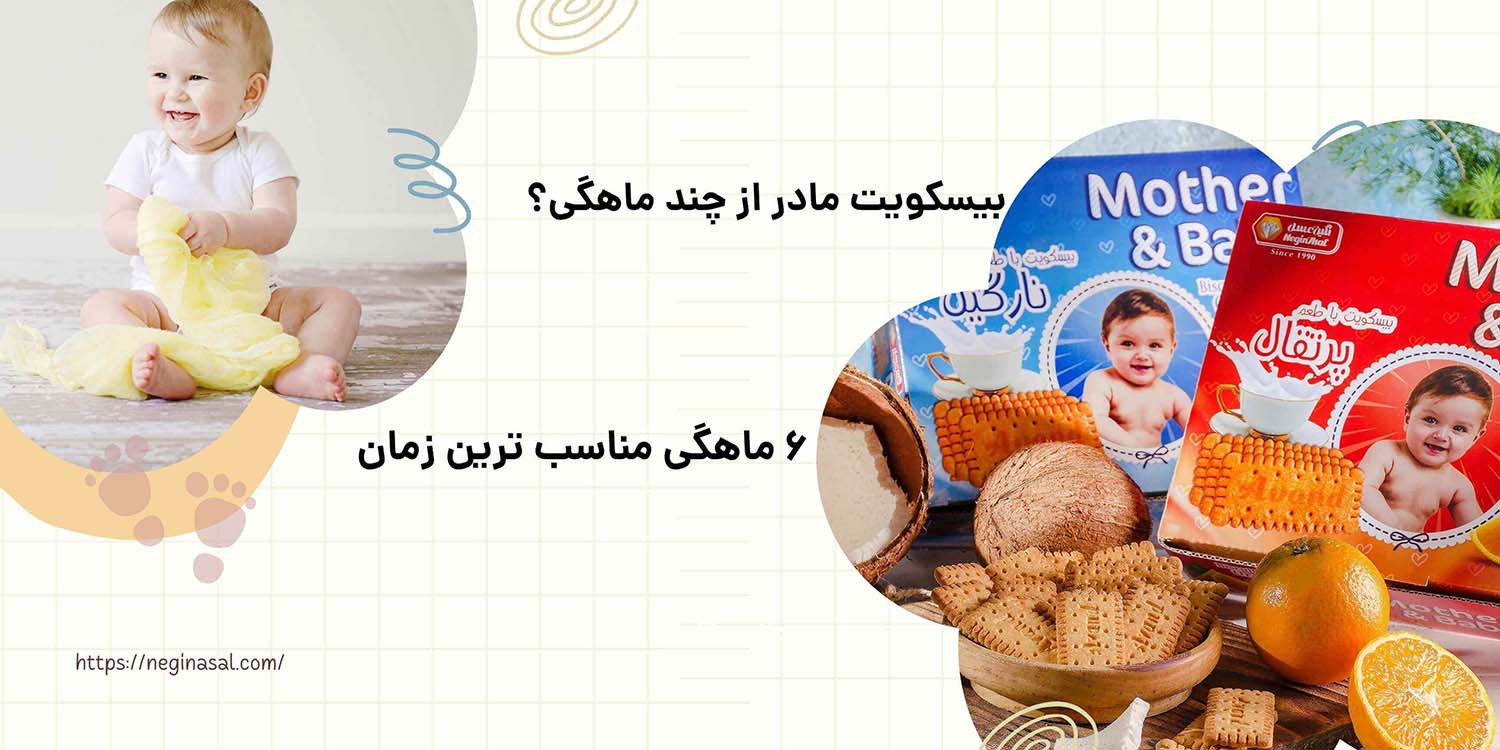 بیسکویت مادر از چند ماهگی