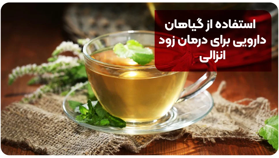 استفاده از گیاهان دارویی برای درمان زود انزالی