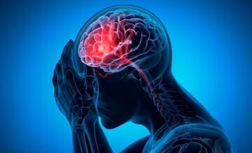 آلزایمر جلوگیری از ابتلا به آلزایمر با مصرف این ماده غذایی