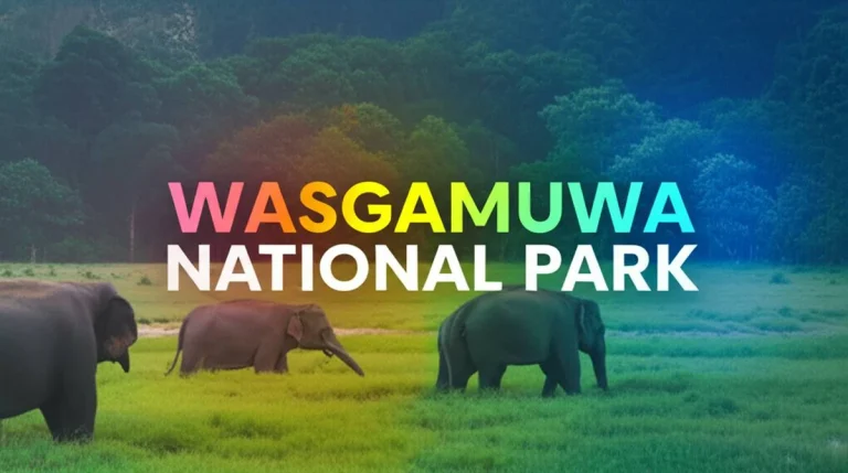 پارک ملی واسگامووا Wasgamuwa National Park