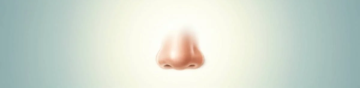ورم بینی تا چه زمانی کامل از بین می رود و واقعاً به چه شکلی می شود؟