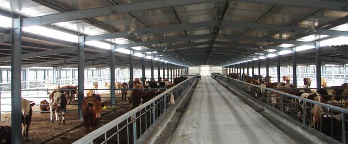 تحلیل اقتصادی سرمایه‌گذاری در سوله‌ها